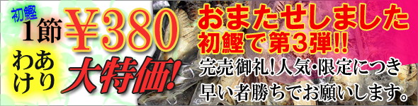 わけあり鰹たたき1節380円　ご好評につき第3弾販売開始！！