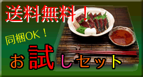 送料無料！同梱OK！お試しセット