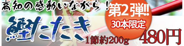 第2弾！！限定３０セット！わら焼き鰹たたき１節約２００ｇがわけあり価格に匹敵４８０円！