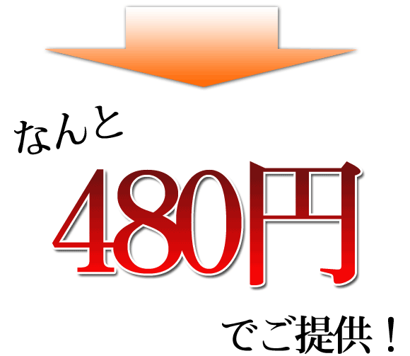 なんと480円でご提供！