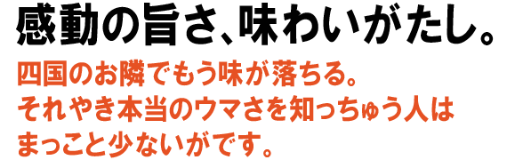 かつおたたき、感動の旨さ、味わいがたし。