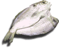 ڂ