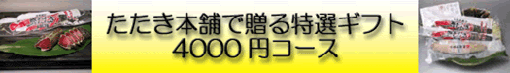 {ܓIMtg4000~R[X