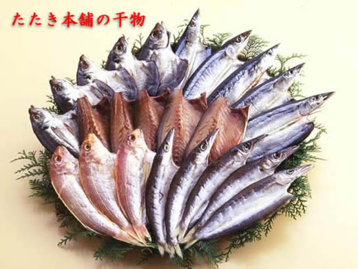 VN