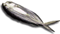 grEI