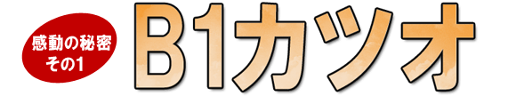 感動の秘密その１Ｂ１カツオ