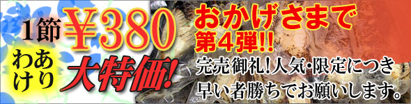 おかげさまでわけあり第４弾！！まるごと品質の鰹たたきが一節たったの￥380。もちろんタレつきでお届けします♪